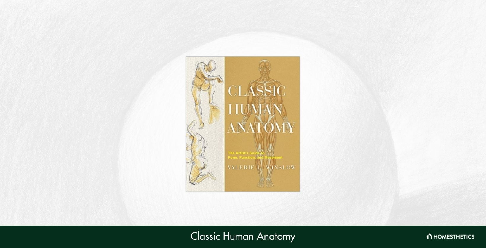 Classic Human Anatomy The Artists Guide to Form Function and Movement by Valerie L. Winslow