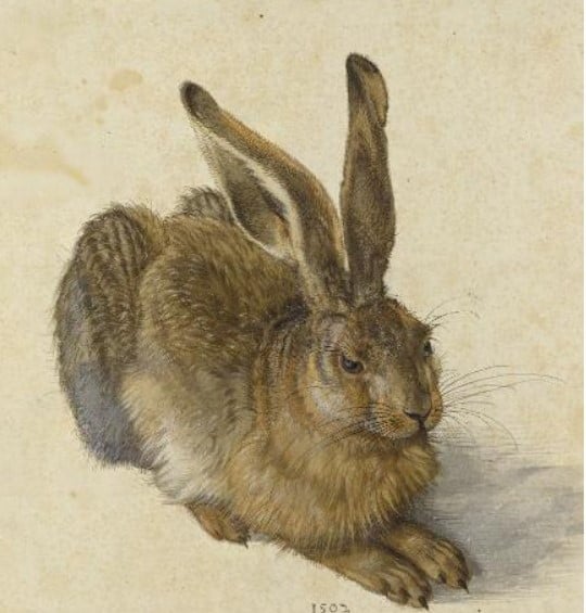 Albrecht Dürer