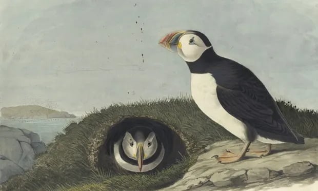 John James Audubon