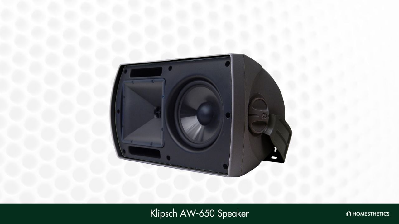 Klipsch AW 650 Speaker
