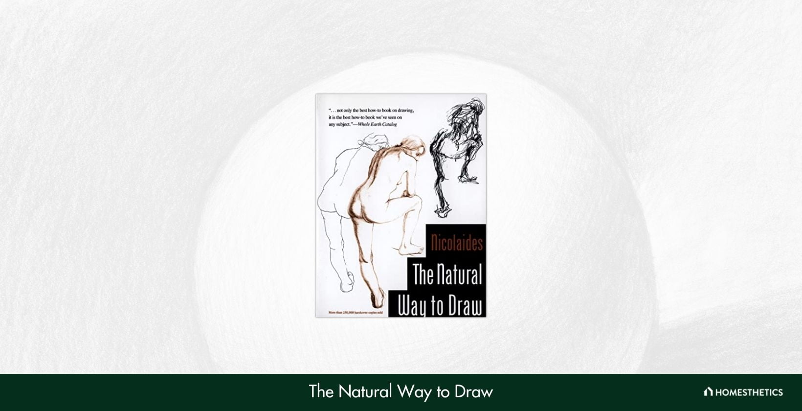 The Natural Way to Draw A Working Plan for Art Study by Kimon Nicolaides