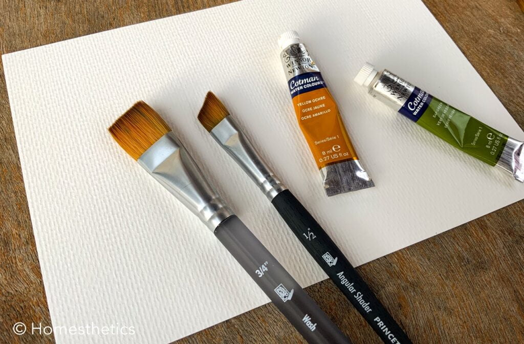 Watercolor Brush Size Chart Exploring Watercolor Brush Sizes For Every