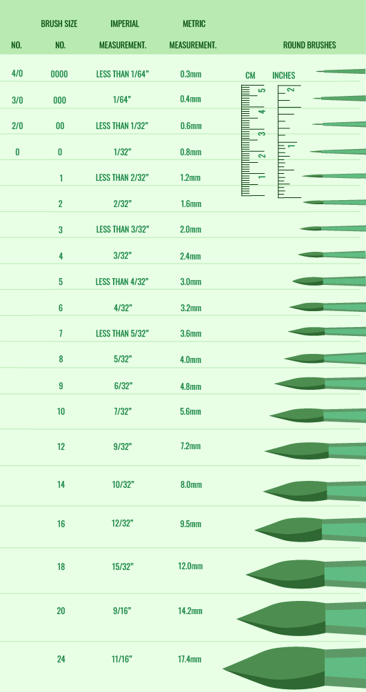 Watercolor Brush Size Chart: Exploring Watercolor Brush Sizes For Every Painting Technique