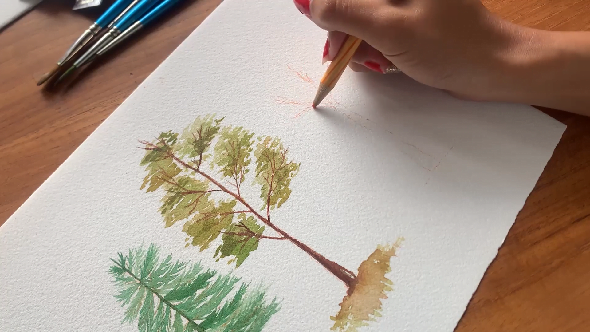 Sketch The Teak Tree Trunk And Branches