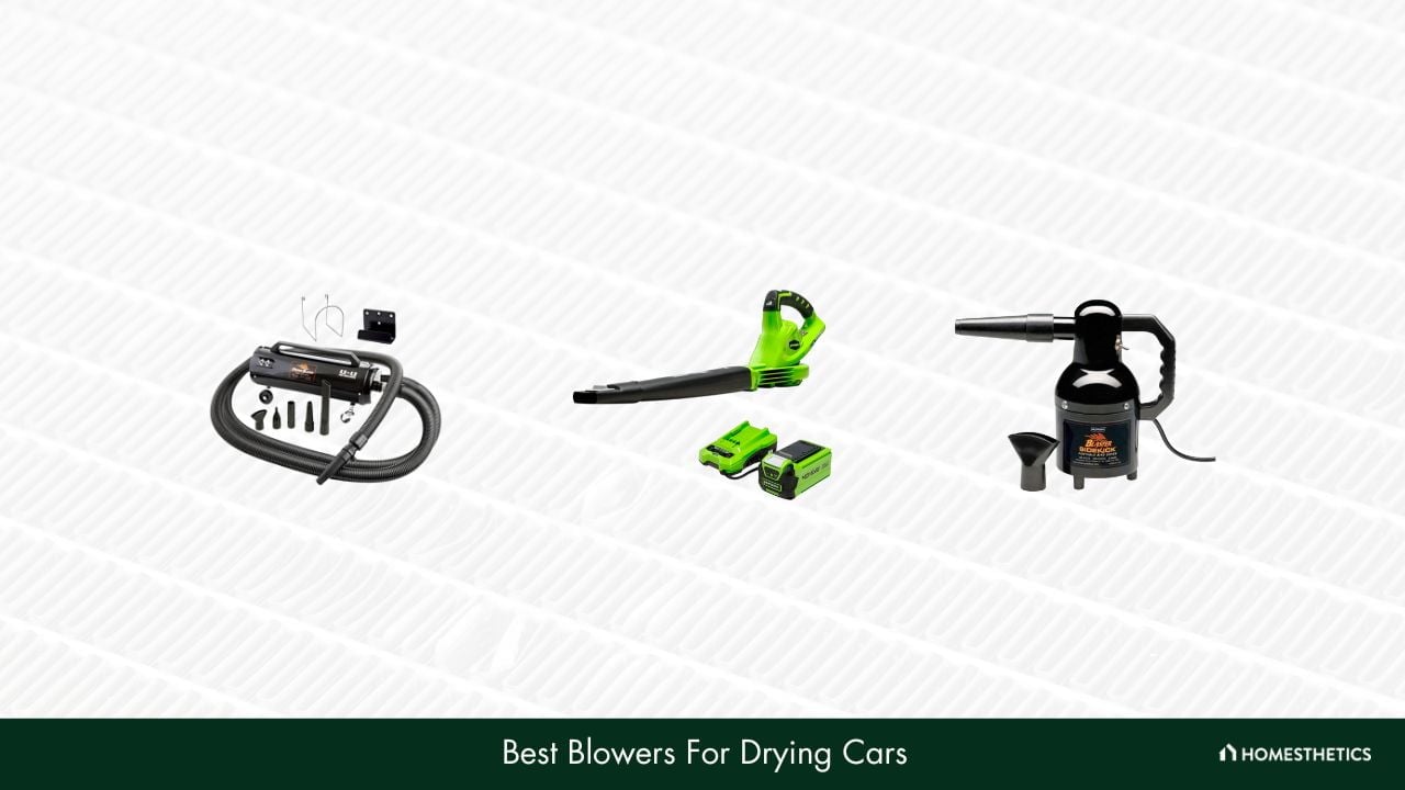 Best Blowers For Drying Cars