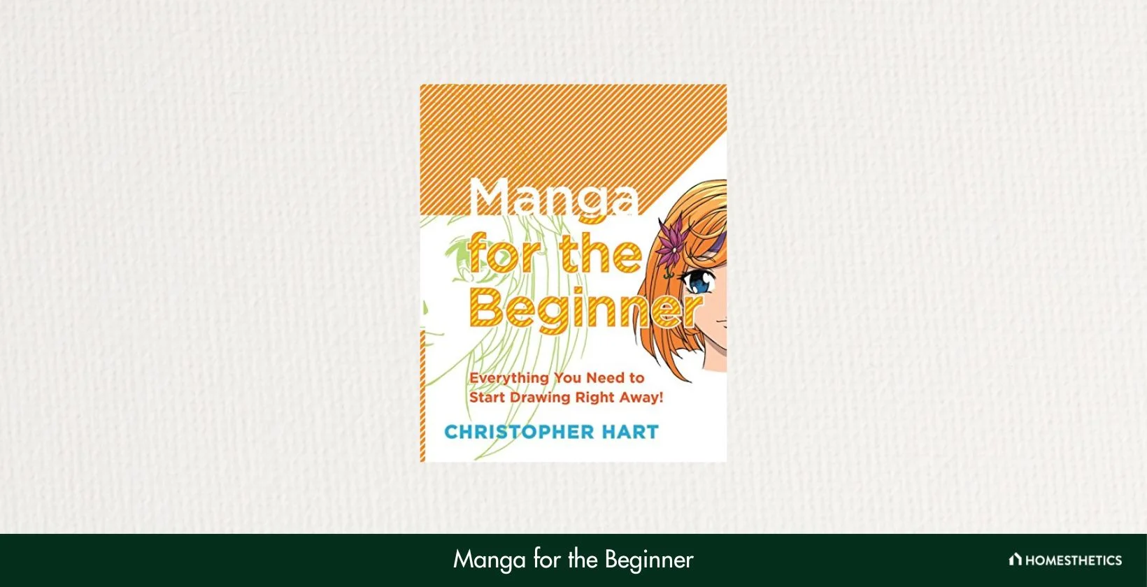 21 Best Manga Drawing Books Reviews + Guide