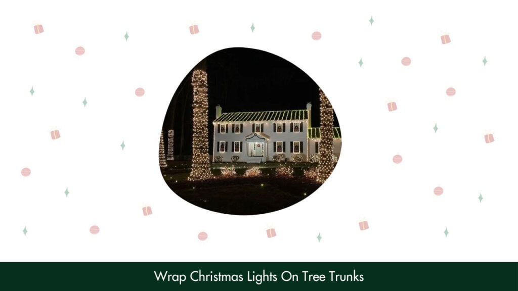 15. Wrap Christmas Lights On Tree Trunks