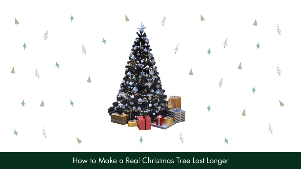 How To Make A Real Christmas Tree Last Longer?