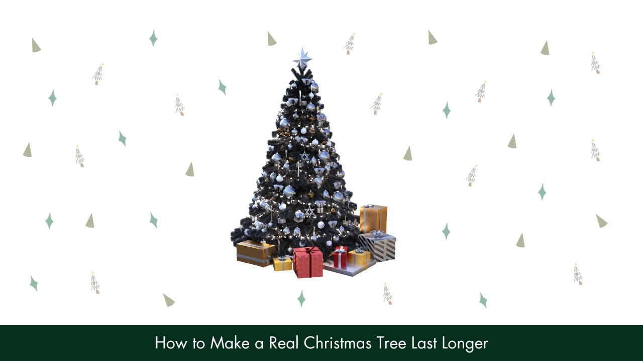 How to Make a Real Christmas Tree Last Longer?