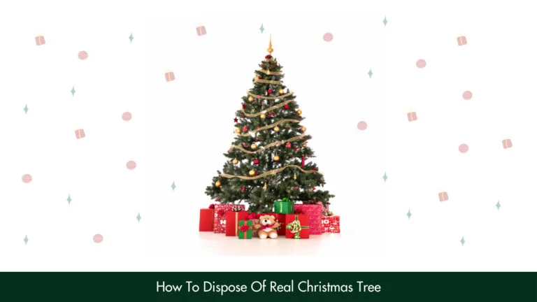 How To Dispose Of Real Christmas Tree?