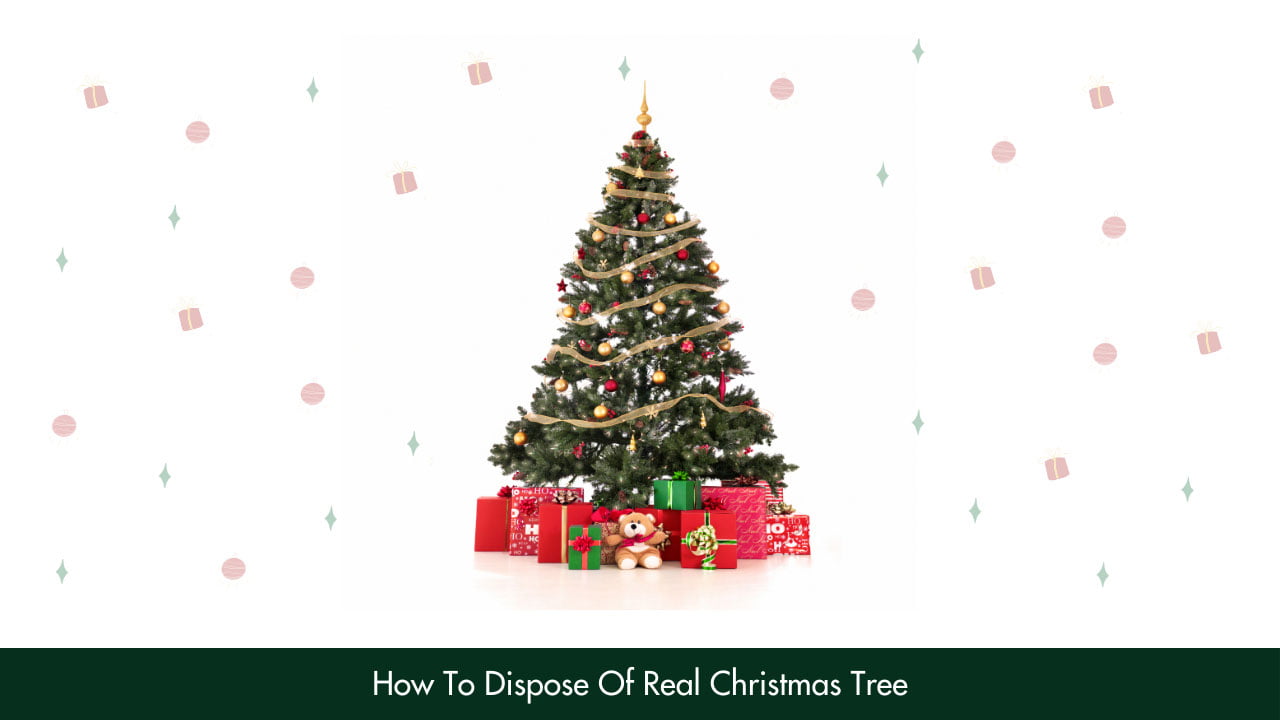 How To Dispose Of Real Christmas Tree?