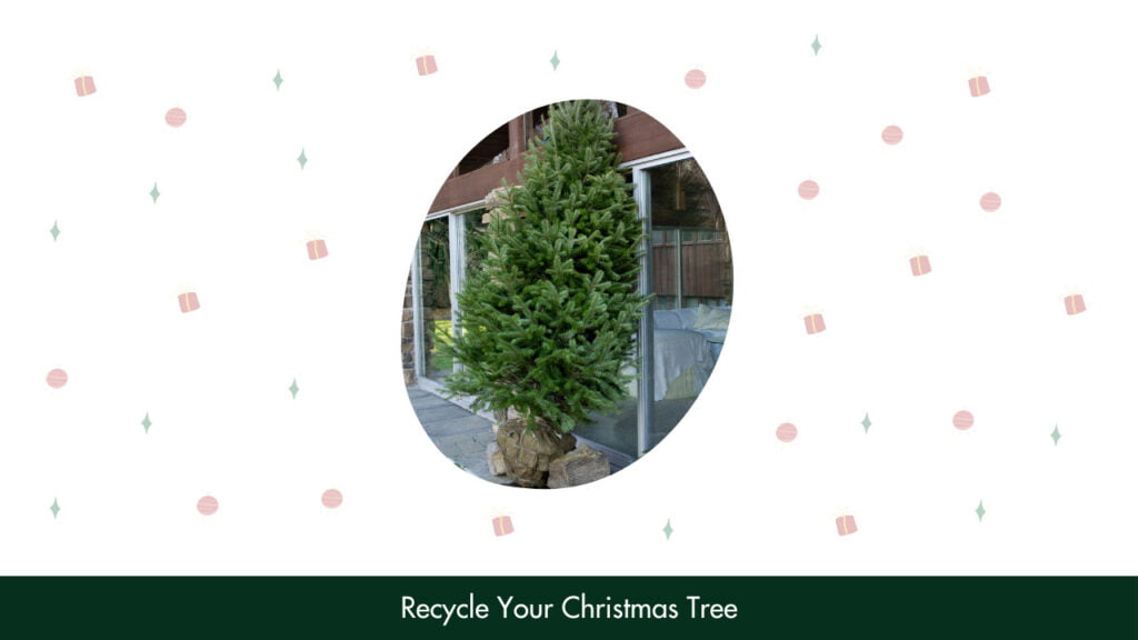 Recycle Your Christmas Tree