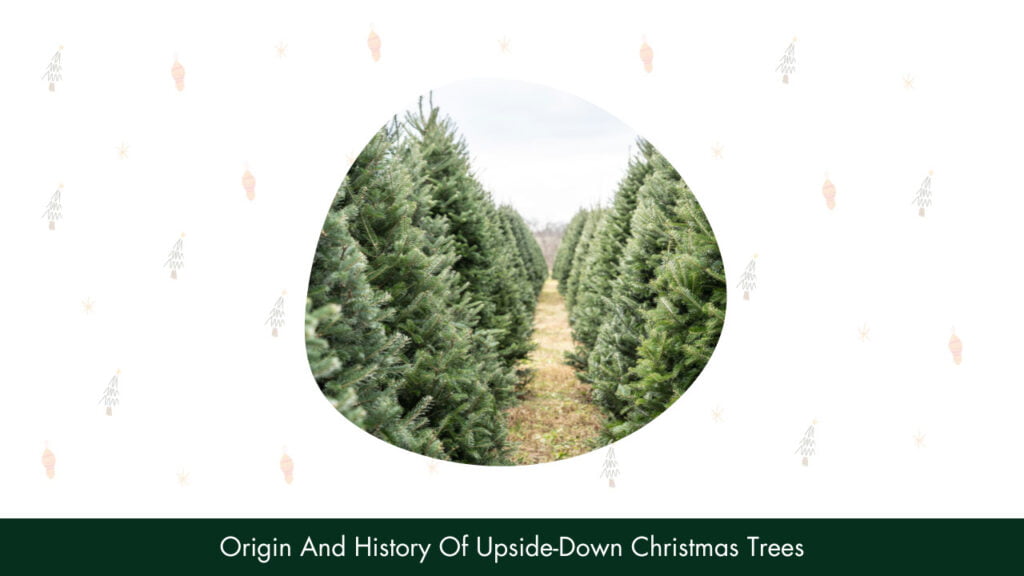 Origin And History Of Upside-Down Christmas Trees