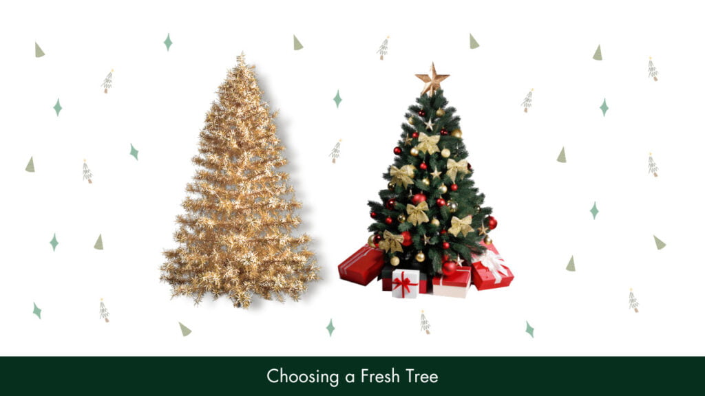 Choosing a Fresh Tree