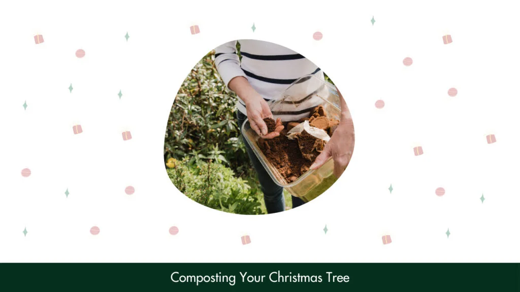 Composting Your Christmas Tree