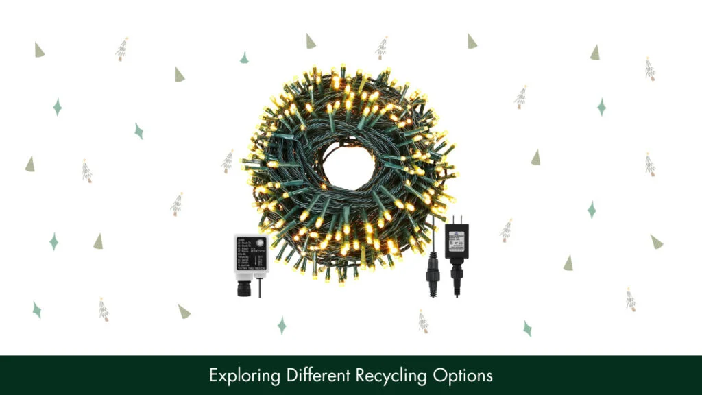Exploring Different Recycling Options