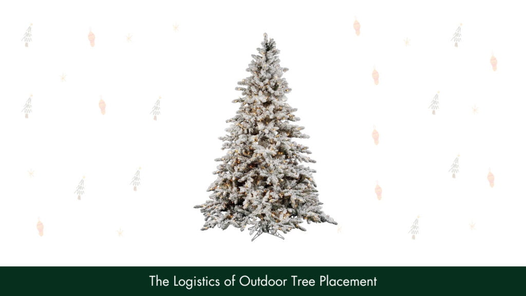 The Logistics of Outdoor Tree Placement