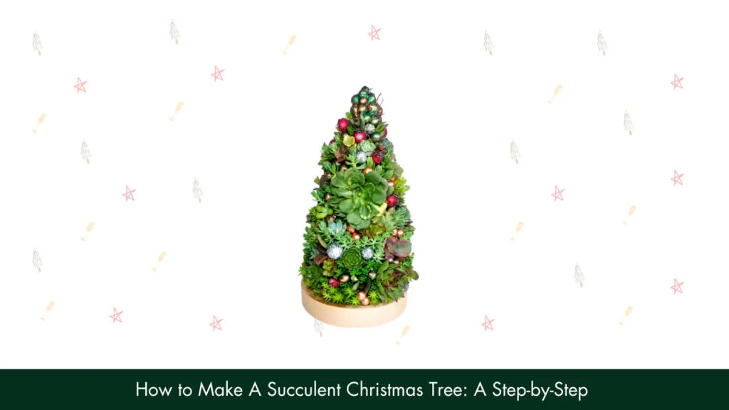 How to Make A Succulent Christmas Tree: A Step-by-Step Guide