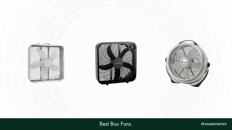 Best Box Fans