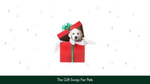 24. The Gift Swap For Pets