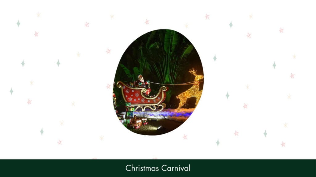 41. Christmas Carnival