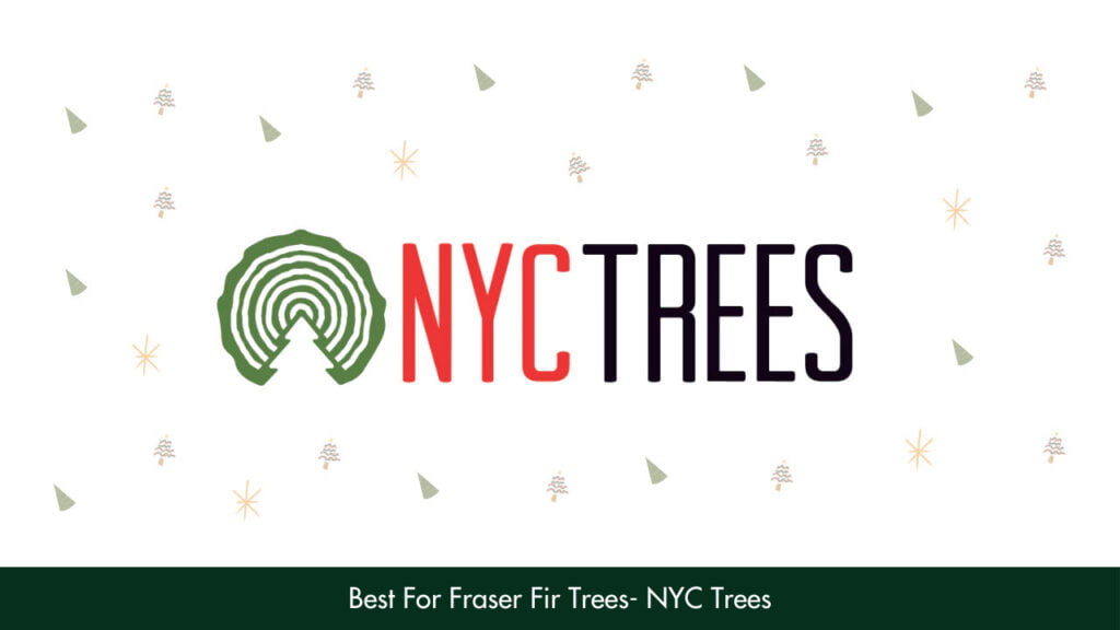 9. Best For Fraser Fir Trees - NYC Trees