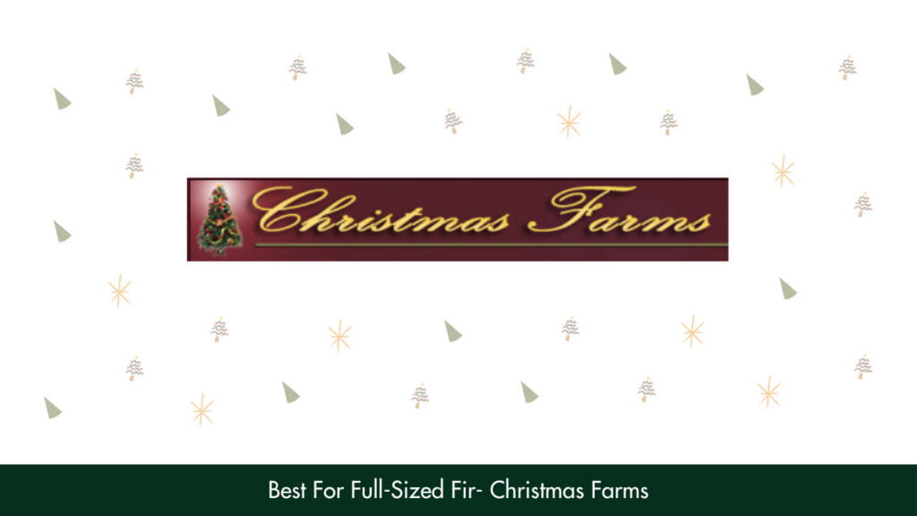 5. Best For Full-Sized Fir - Christmas Farms