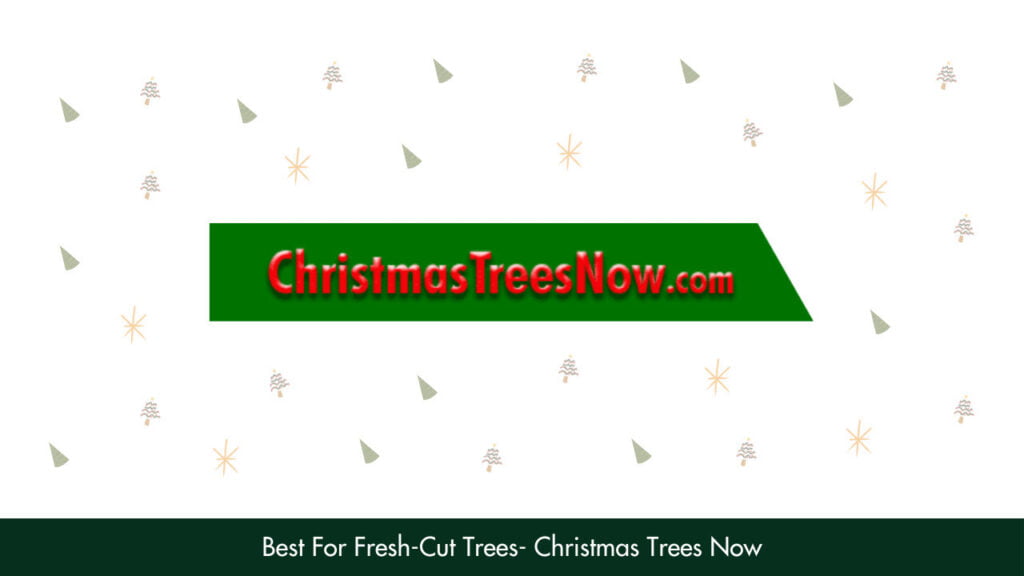 2. Best For Fresh-Cut Trees - Christmas Trees Now