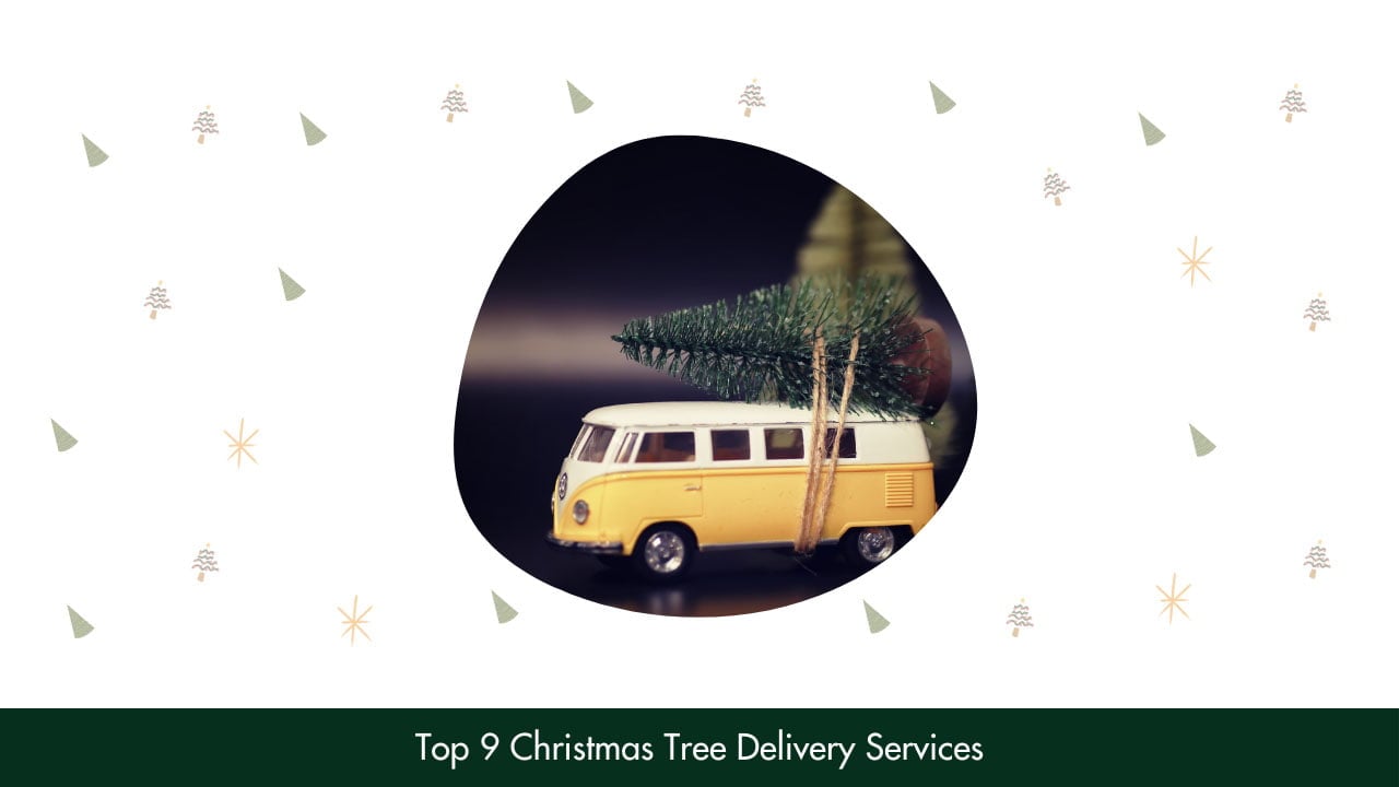 Christmas Tree Delivery Services