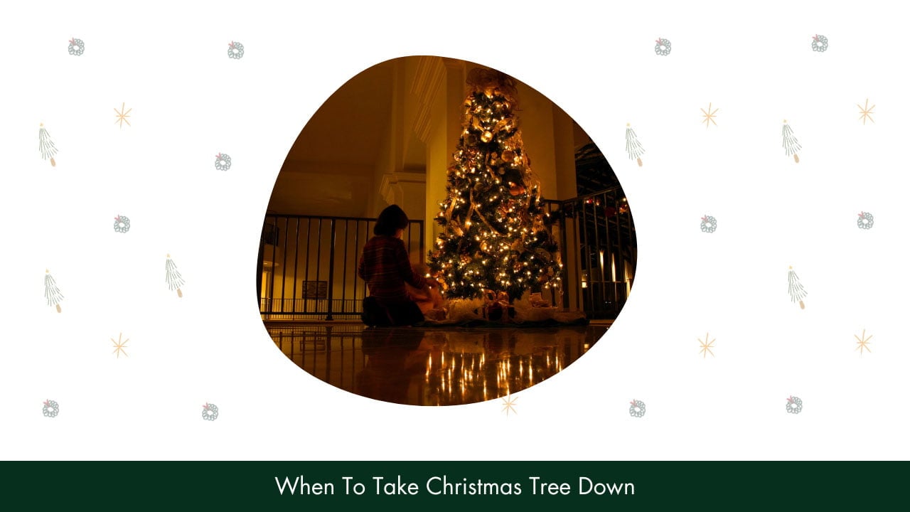 When To Take Christmas Tree Down?