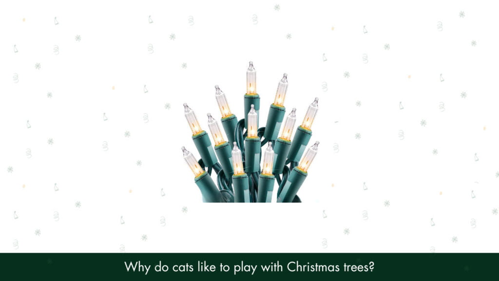 Why do cats like to play with Christmas trees?