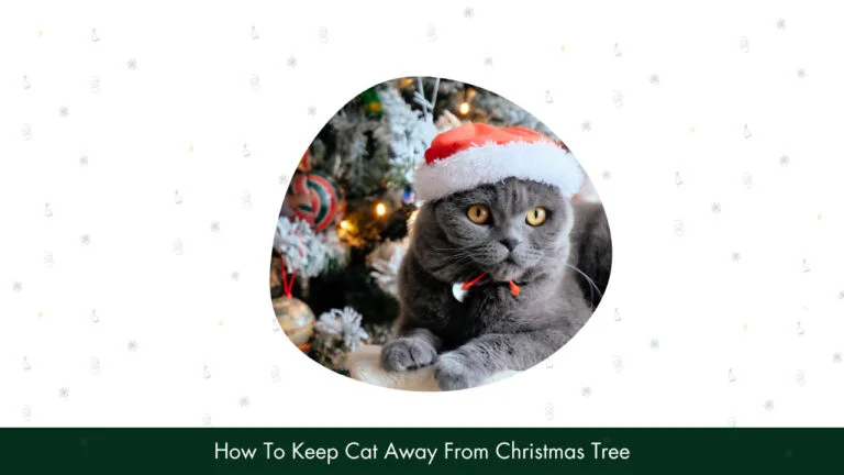 how to keep cat away from christmas tree 1 2
