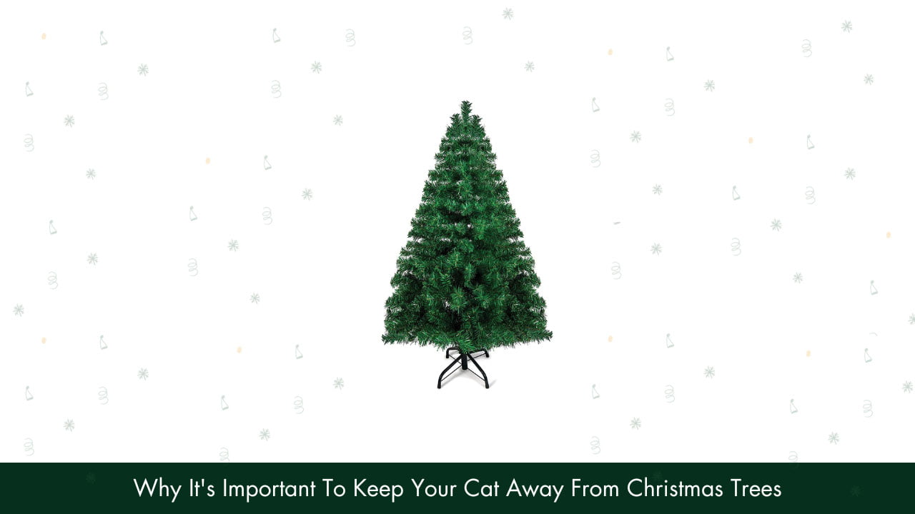 How to keep cat away from christmas tree 