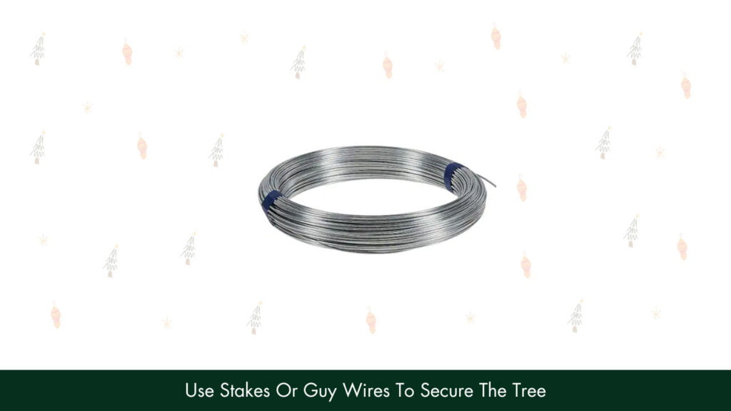 2. Use Stakes Or Guy Wires To Secure The Tree