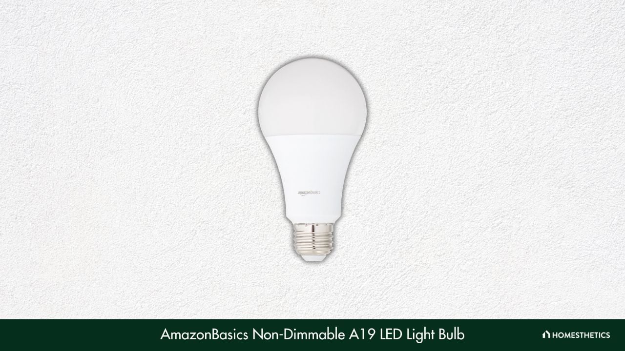 AmazonBasics Non Dimmable A19 LED Light Bulb 1