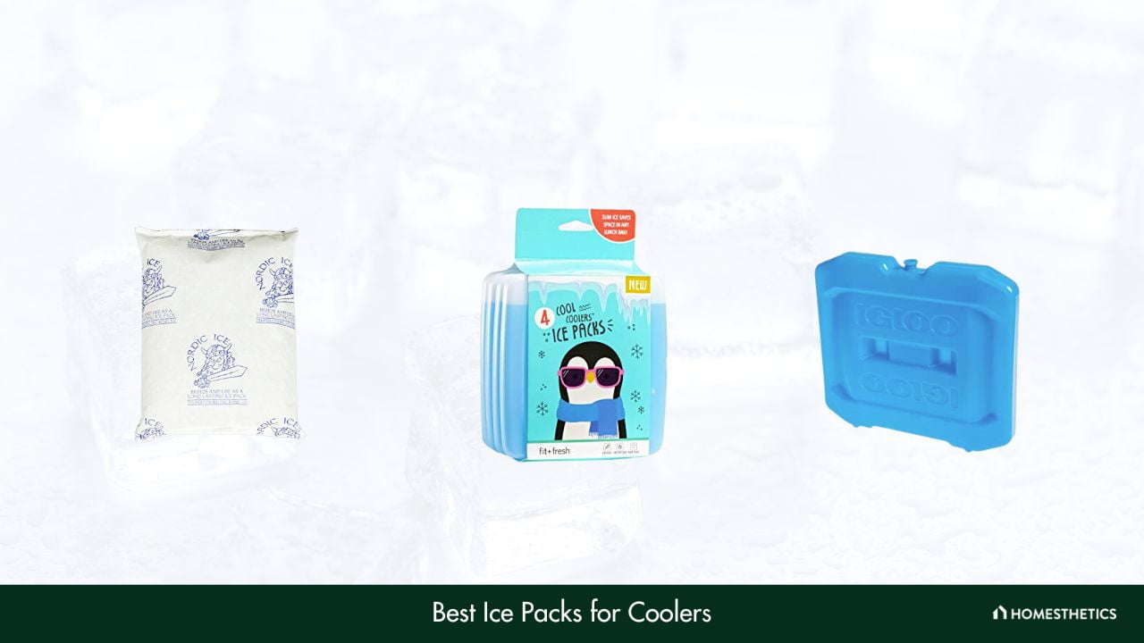 Best Ice Packs for Coolers