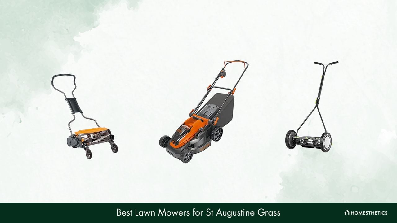 Best Lawn Mowers for St Augustine Grass