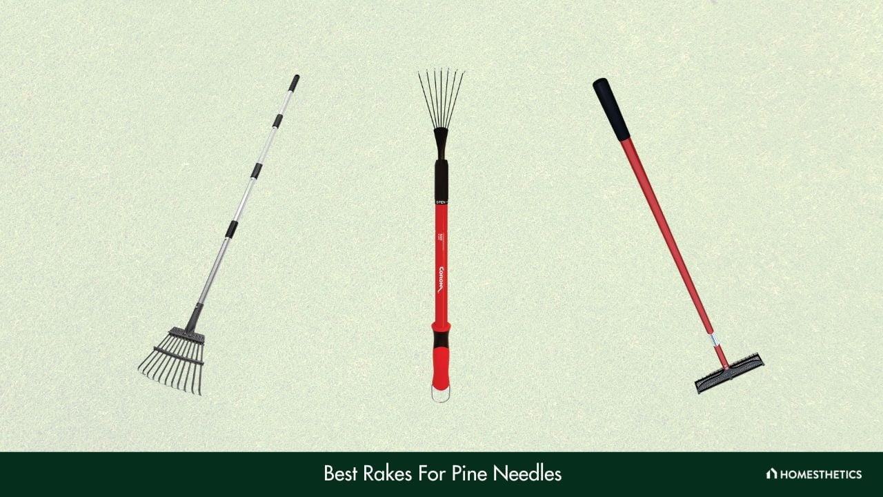 Best Rakes For Pine Needles