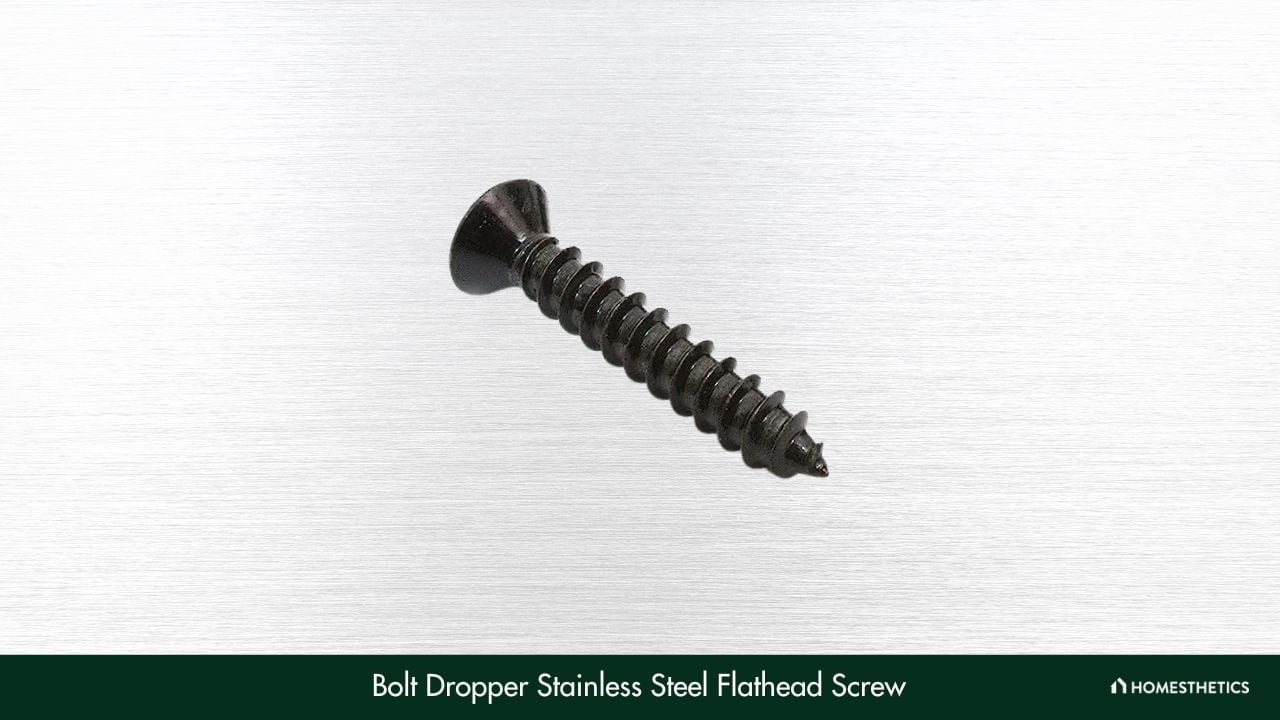 Bolt Dropper Stainless Steel Flathead Screw 1