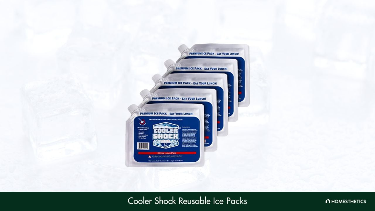 Best Ice Packs for Coolers of 2023