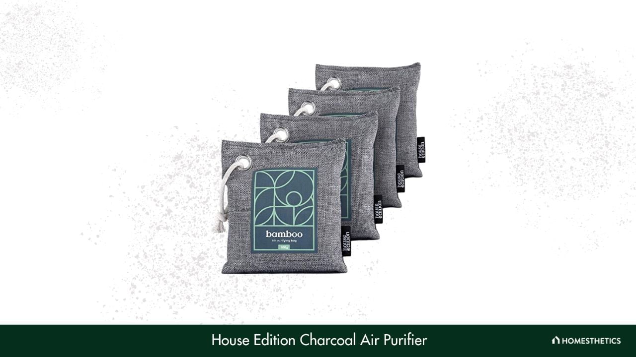 House Edition Charcoal Air Purifier 1
