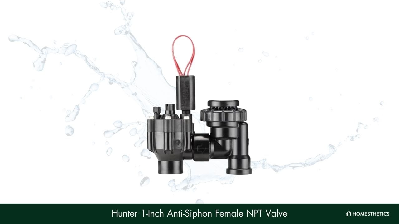Hunter 1 Inch Anti Siphon Female NPT Valve 1