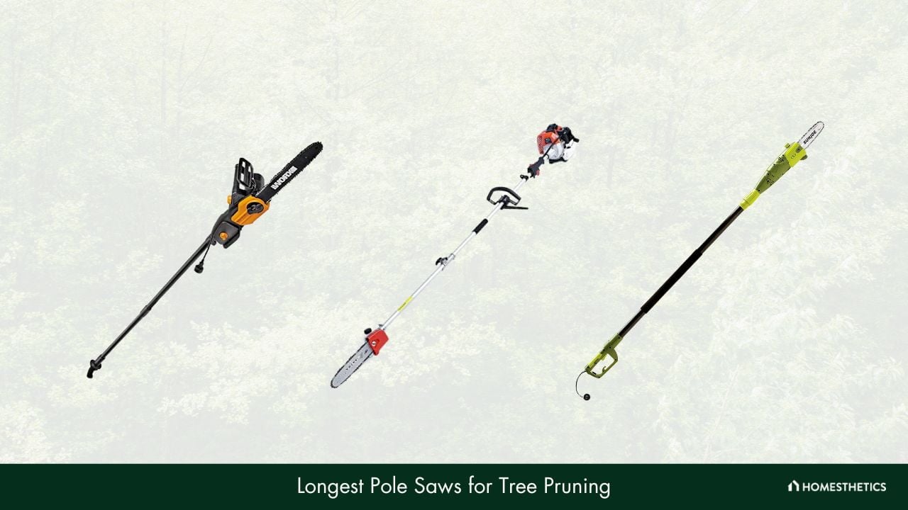 Longest Pole Saws for Tree Pruning