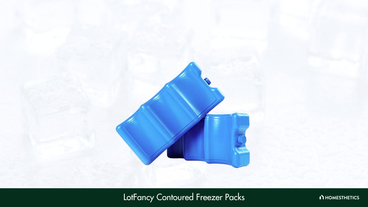 LotFancy 4 Ice Packs for Cooler and Lunch Box, Reusable Freezer
