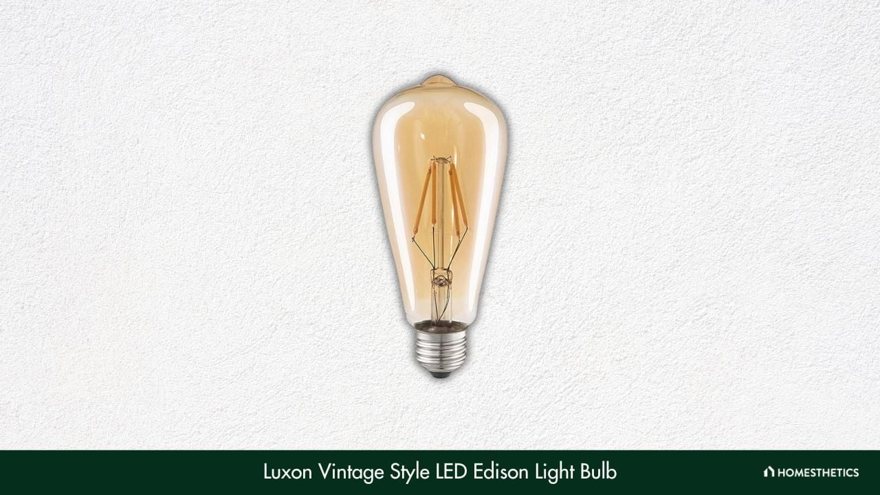 Luxon Vintage Style LED Edison Light Bulb 1