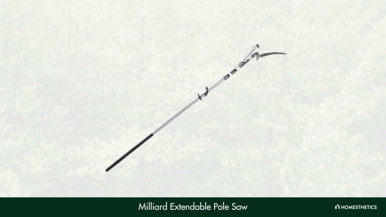 Milliard 6 16 ft Extendable Pole Saw