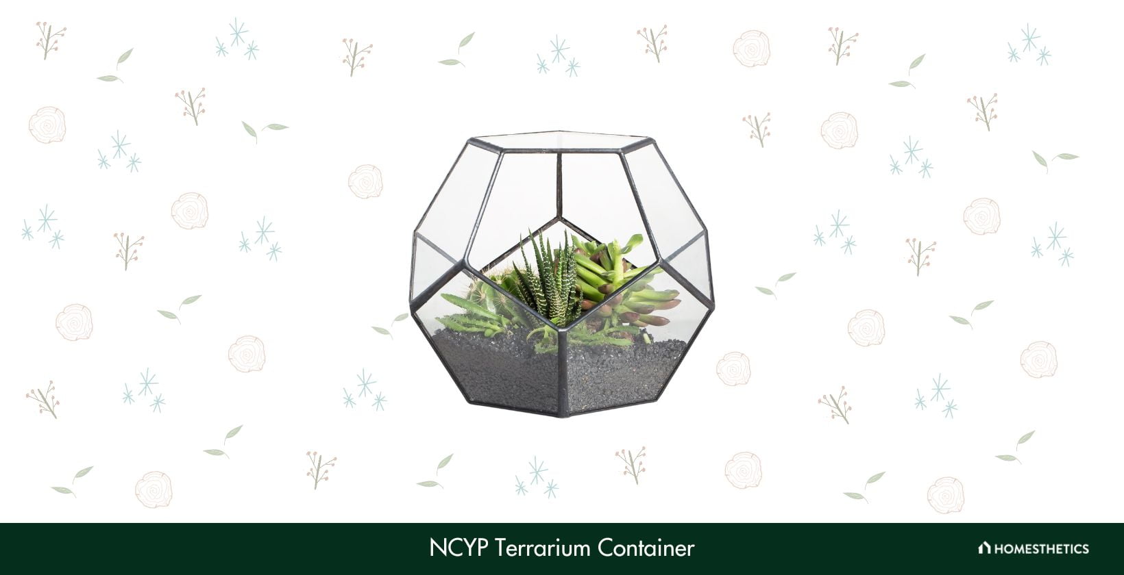 NCYP Terrarium Container