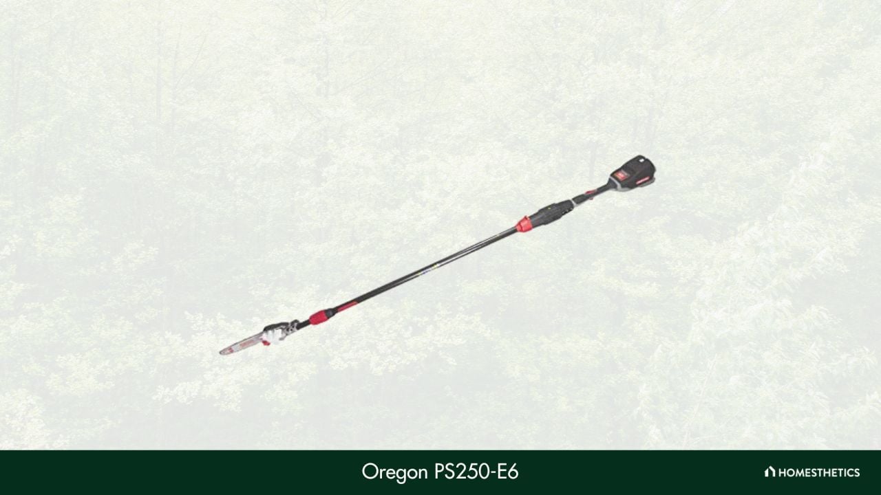 Oregon PS250 E6 Pole Saw