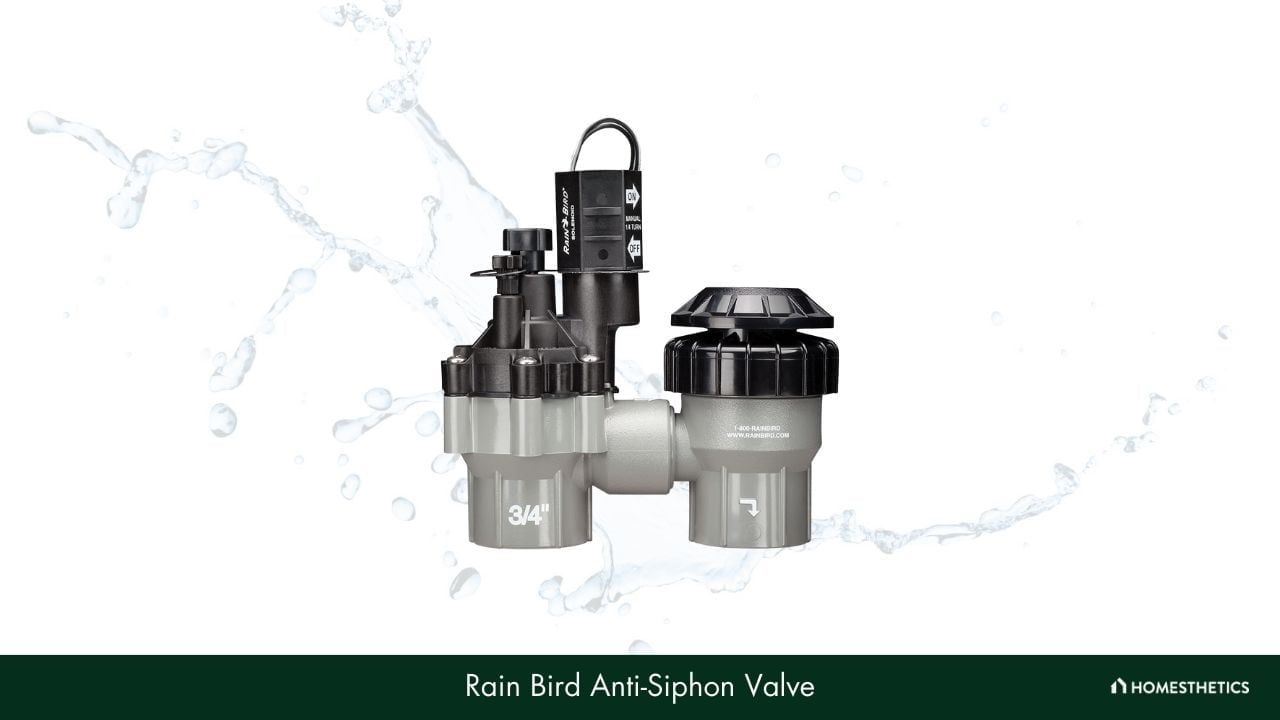 Rain Bird Anti Siphon Valve 1