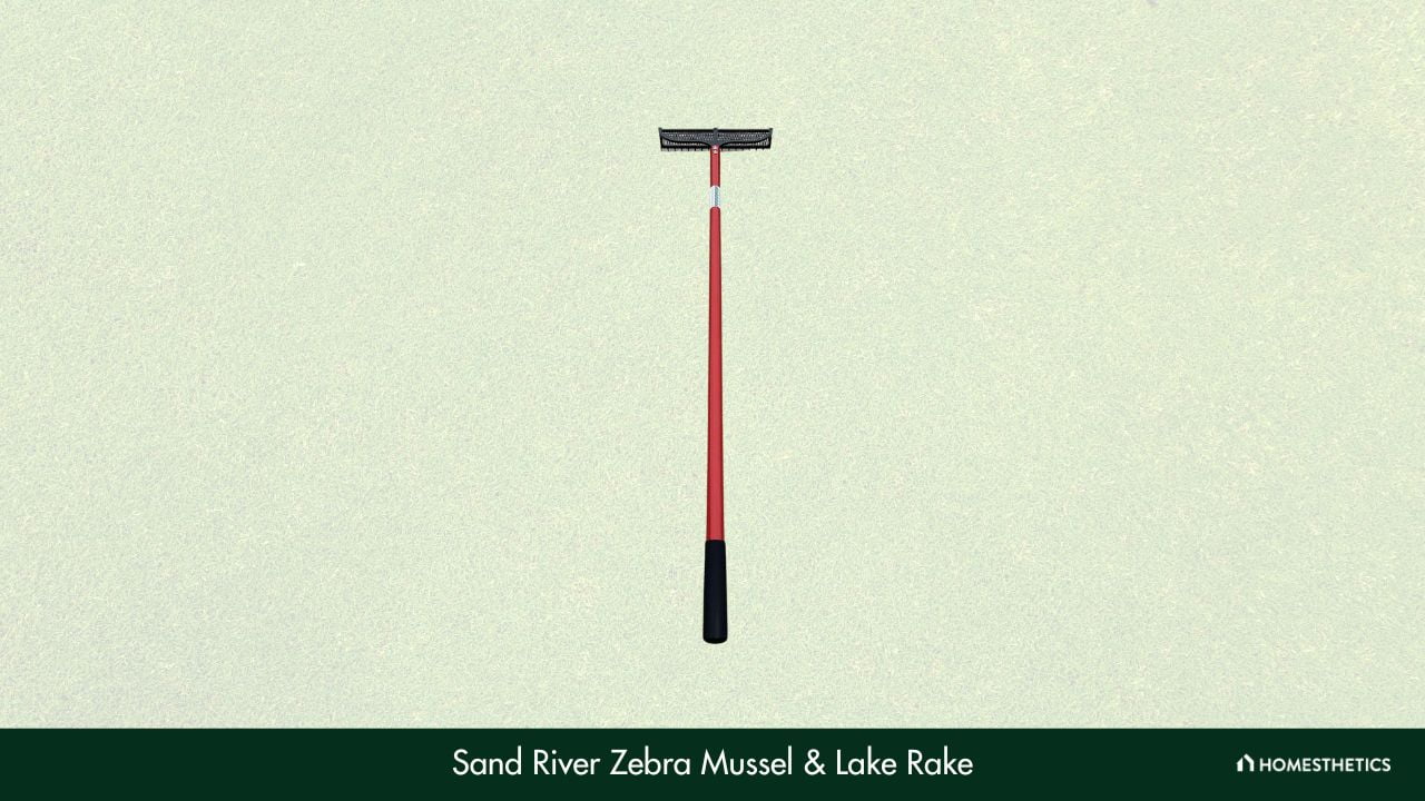 Sand River Zebra Mussel Lake Rake 1